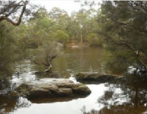 Supporting Eco Pride