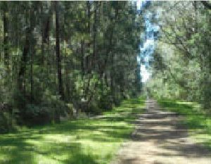 Supporting Green Pride